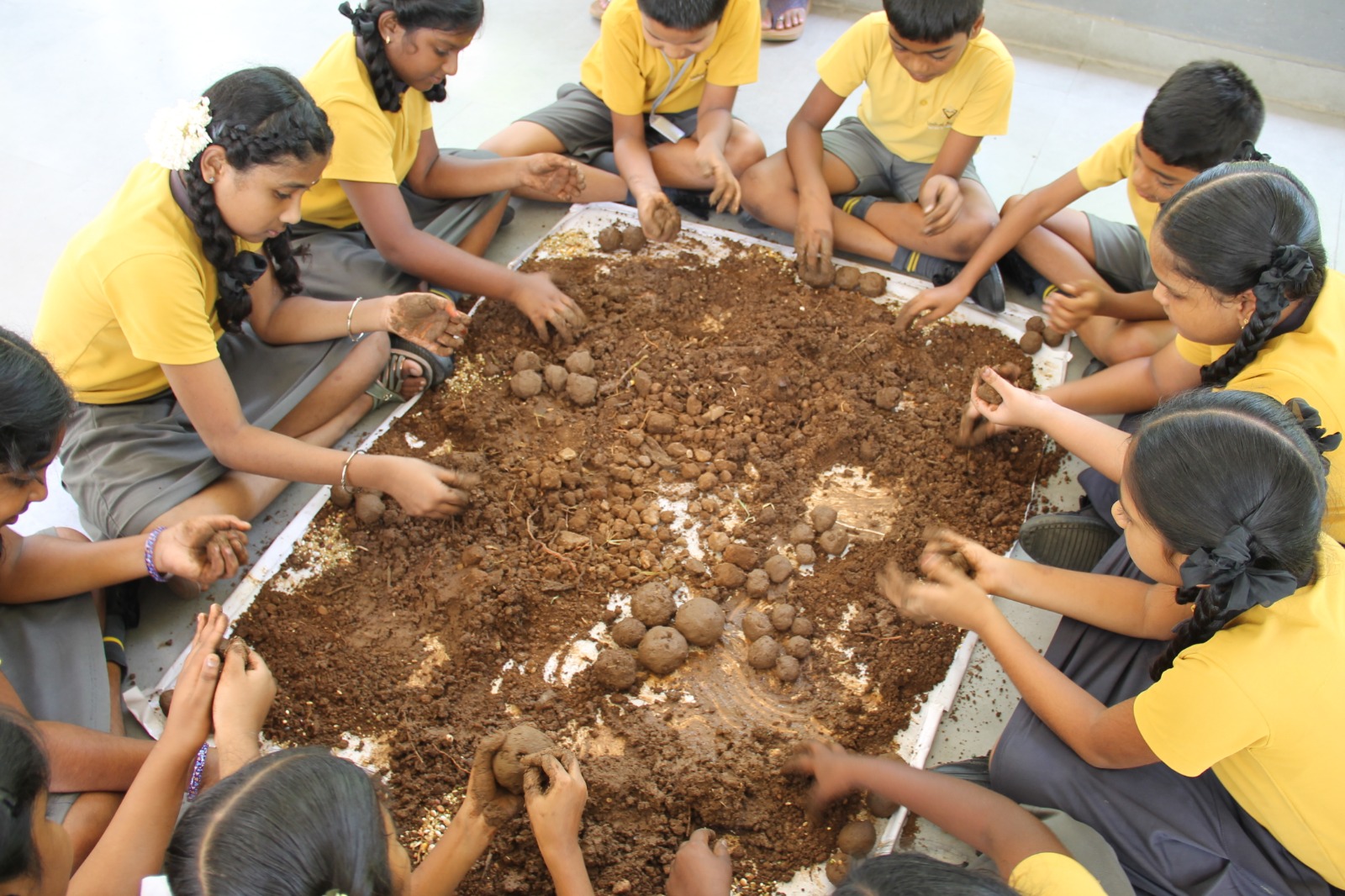 Seed Ball Making